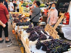 -利群海琴购物广场(商丘路店)