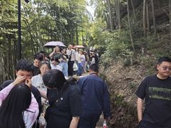 -莫干山风景区