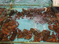 -海蓝海鲜馆(五四北店)