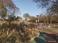 -大兴滨河森林公园