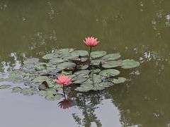 -合肥滨湖国家森林公园