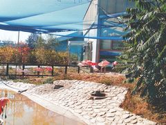 -齐齐哈尔龙沙动植物园