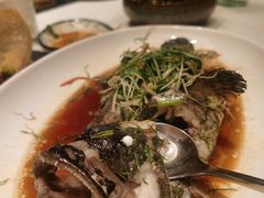 -T館·花园艺术餐厅