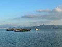 -深圳湾公园(南山区)