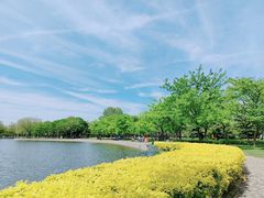 -泰丰公园