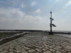 -南汇嘴观海公园