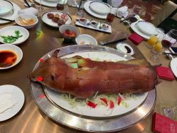-广州富力君悦大酒店·宴会厅