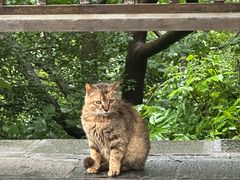 -敬亭山风景名胜区