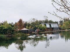 -成飞公园