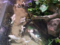 -正佳雨林生态植物园