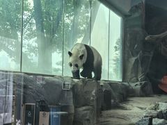 -武汉动物园
