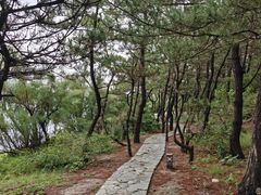 -养马岛旅游度假区