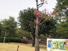 -文华公园(禅城区)