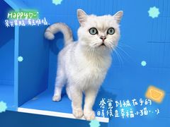 -中粮·祥云小镇