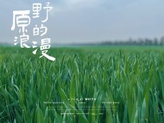 -汉长安城未央宫国家考古遗址公园