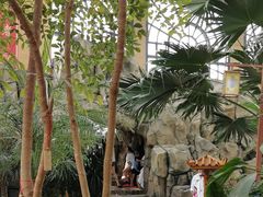 -郑州银基黄帝宫御温泉