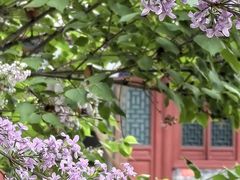 -莲池书院博物馆