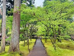 -三千院