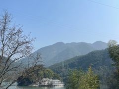 -原乡芦茨咖啡