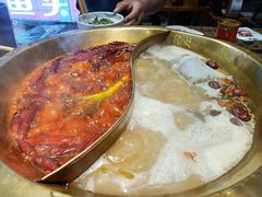 -小龙坎火锅(春熙太古里店)