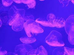 -沈阳海洋探索中心