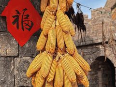 -烟墩角天鹅湖