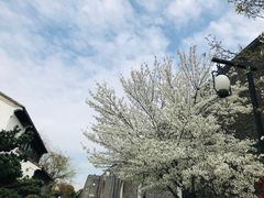 -相门城墙文化休闲景区