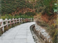 -五龙城郊森林公园