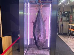 -大起水产回转寿司(道顿堀店)