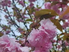 -苏州吴中太湖旅游区