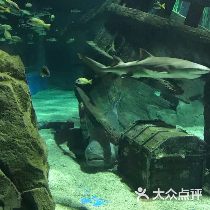 锦艺城海洋馆图片-北京海洋馆-大众点评网