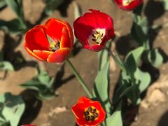 -面爱面(长椿街店)