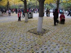 -辽宁大学(崇山校区)