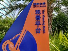 -演武大桥观景平台