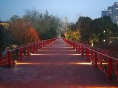 -青枫公园