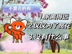 -上海月湖雕塑公园