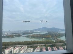 -湖景知味西餐厅•自助餐• 轻食(南京金茂威斯汀大酒店)