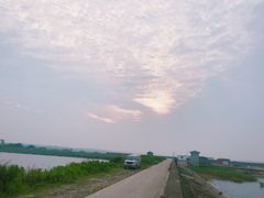 -碧海金沙