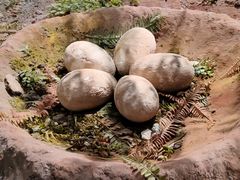 -湖南省地质博物馆