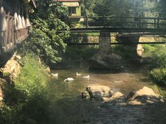 -北京水岸山吧度假村(雁栖镇店)