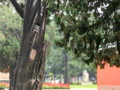 -北京古代建筑博物馆