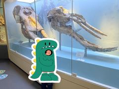 -国家自然博物馆