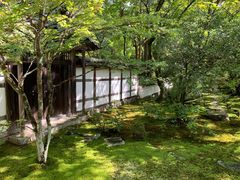 -西芳寺(苔寺)