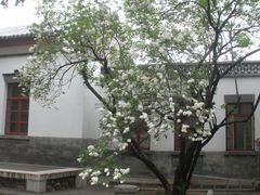 -双清别墅