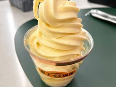 招牌猫王榴莲冰淇淋-猫王榴莲世家(三里屯SOHO商场店)