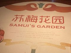 -苏梅花园(群星城店)