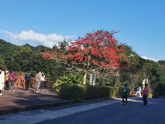-广州市石门国家森林公园