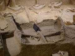 -洛阳周王城天子驾六博物馆