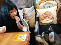 -more than meow吴止猫主题餐厅(承德 中船汇店)