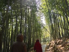 -天下玉苑